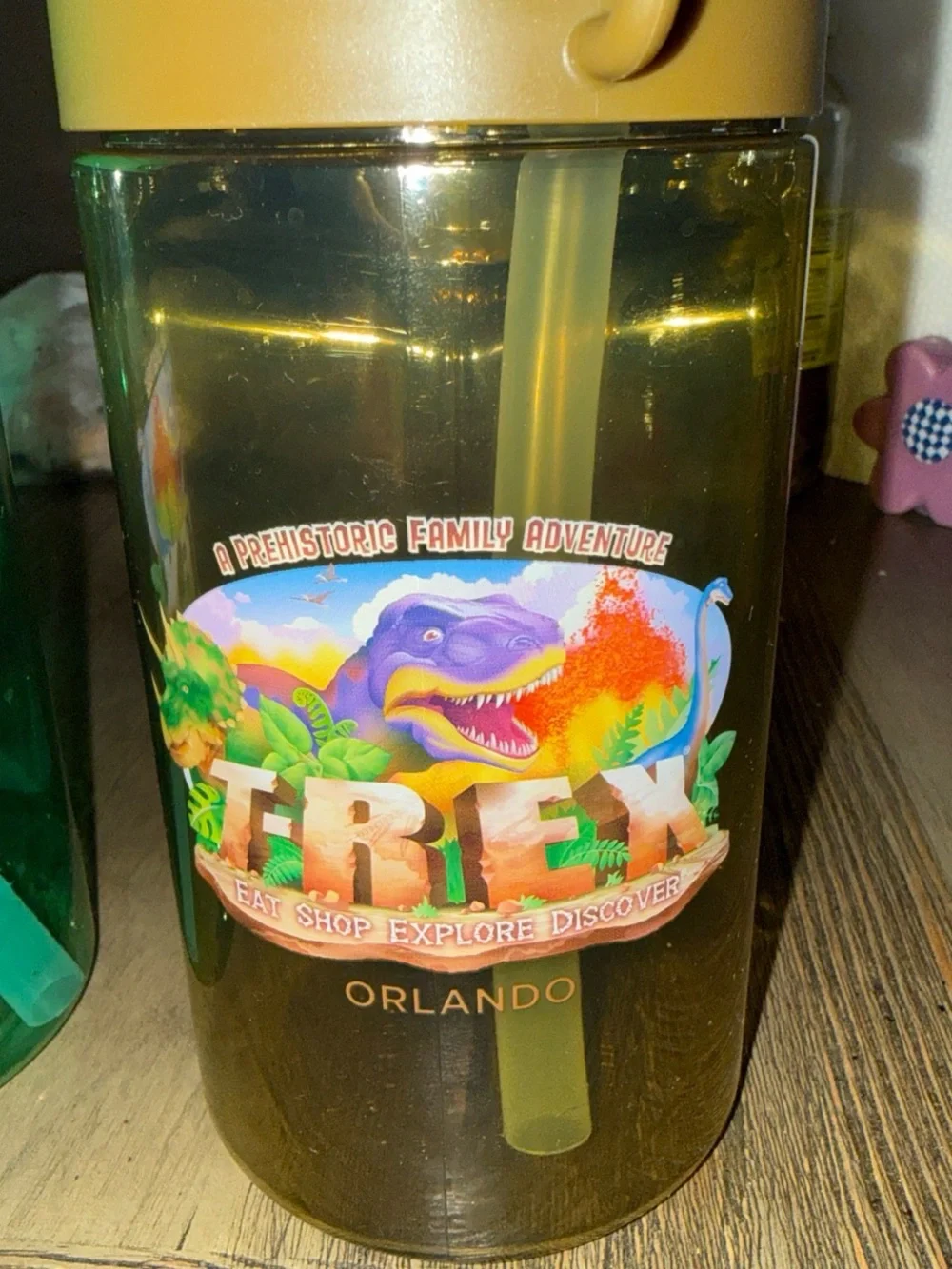 Dinosaur water bottles